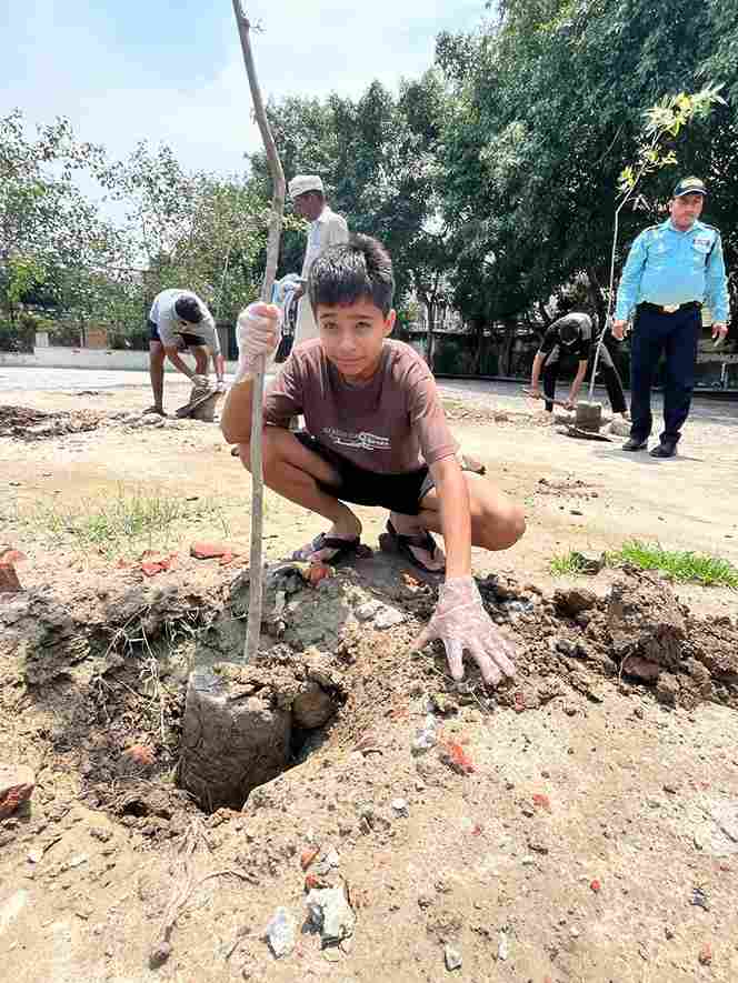 Tree Plantation by Boarding House Students
